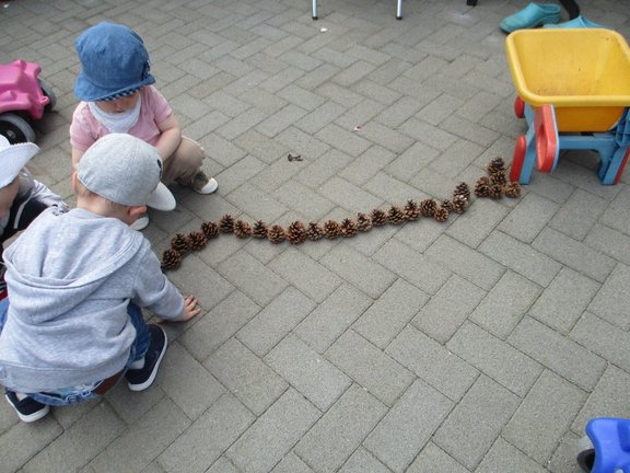 tannenzapfen-spur_quer.JPG