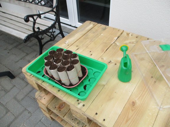 Gartenprojekt Bohnen gartenprojekt_quer.JPG